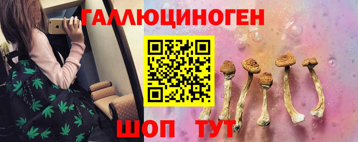 Ступино  наркотики  Вход с VPN  Псилоцибиновые грибы мицелий  Псилоцибиновые грибы Psilocybe 